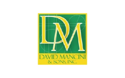 David Mancini & Sons logo